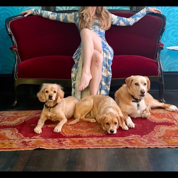 Meet your Posher, Anne - Picture 1 of 1